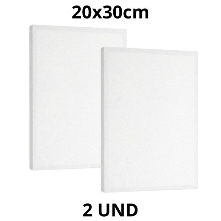 Kit 2 Tela Para Pintura 20x30cm Escolar e Artística