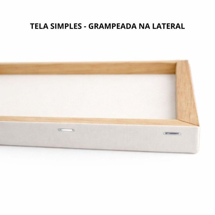 Kit 2 Tela Para Pintura 20x30cm Escolar e Artística