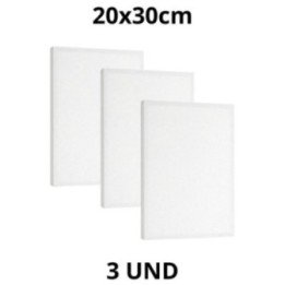 Kit 3 Tela Para Pintura 20x30cm Escolar e Artística