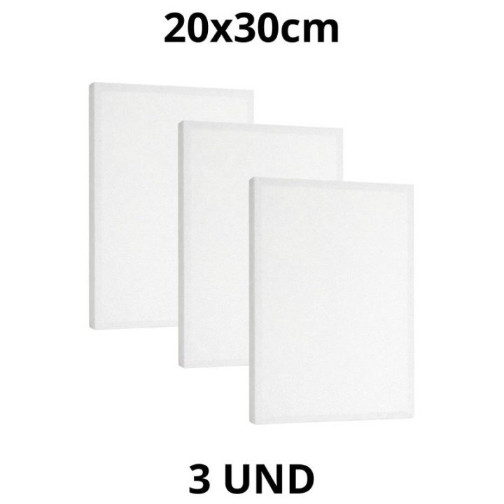 Kit 3 Tela Para Pintura 20x30cm Escolar e Artística
