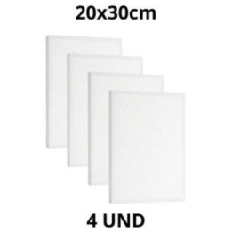 Kit 4 Tela Para Pintura 20x30cm Escolar e Artística