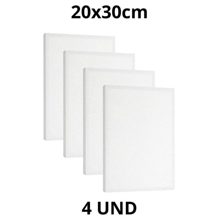 Kit 4 Tela Para Pintura 20x30cm Escolar e Artística