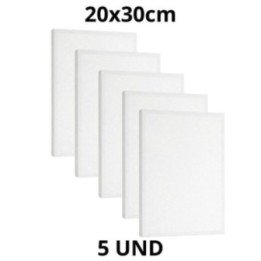 Kit 5 Tela Para Pintura 20x30cm Escolar e Artística