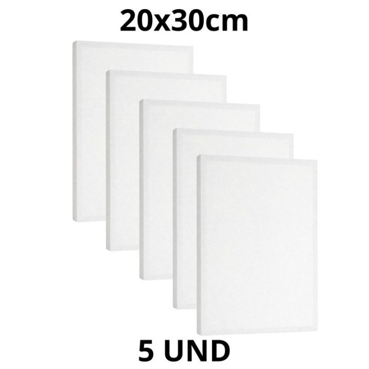 Kit 5 Tela Para Pintura 20x30cm Escolar e Artística