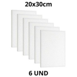 Kit 6 Tela Para Pintura 20x30cm Escolar e Artística