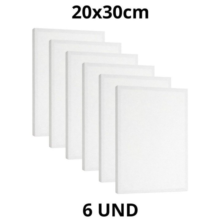 Kit 6 Tela Para Pintura 20x30cm Escolar e Artística