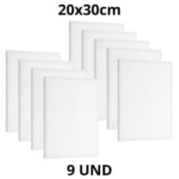 Kit 9 Tela Para Pintura 20x30cm Escolar e Artística