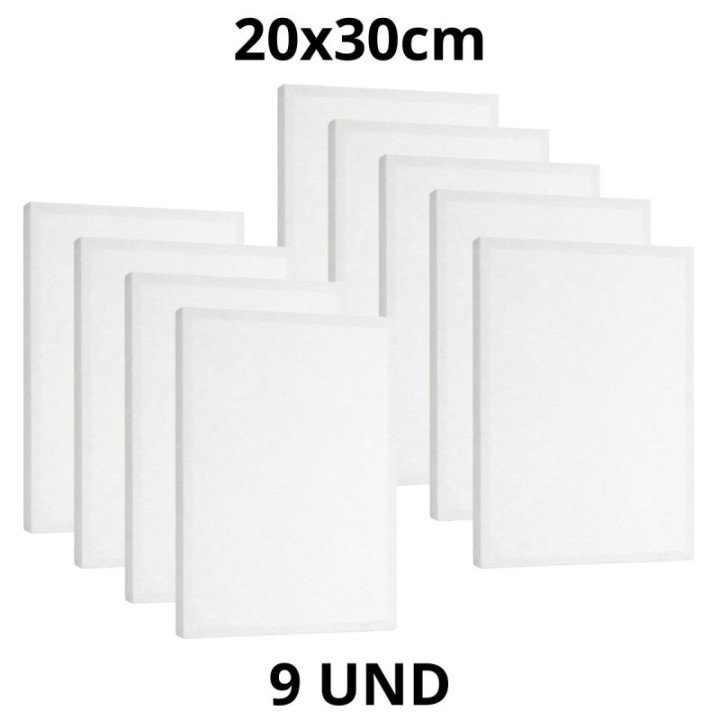 Kit 9 Tela Para Pintura 20x30cm Escolar e Artística