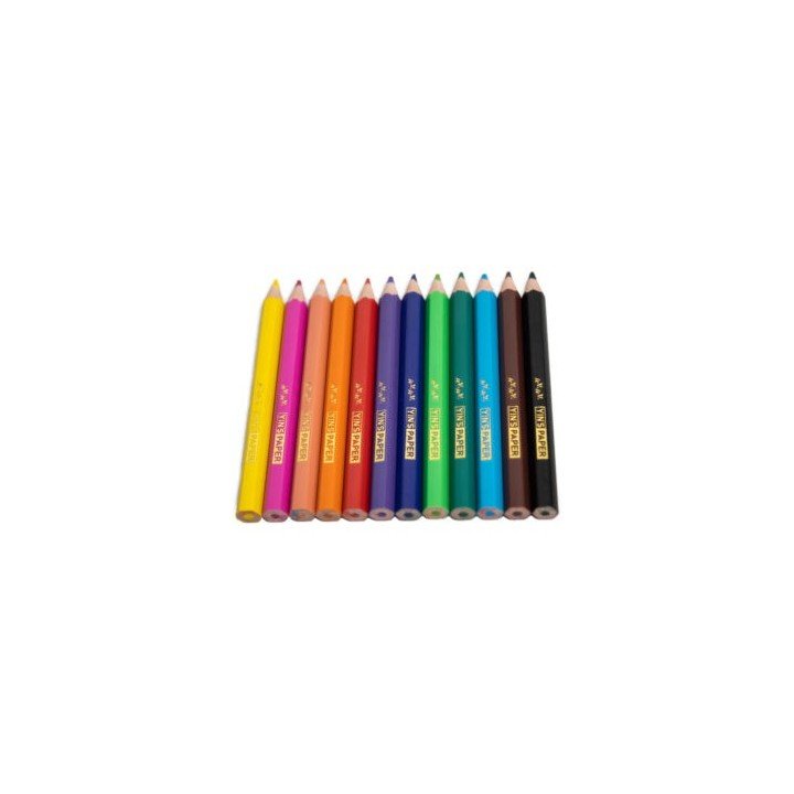 LÁPIS DE COR MINI RESINA SEXTAVADO 12 CORES
