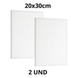 Kit 2 Tela Para Pintura 20x30cm Escolar E Artística
