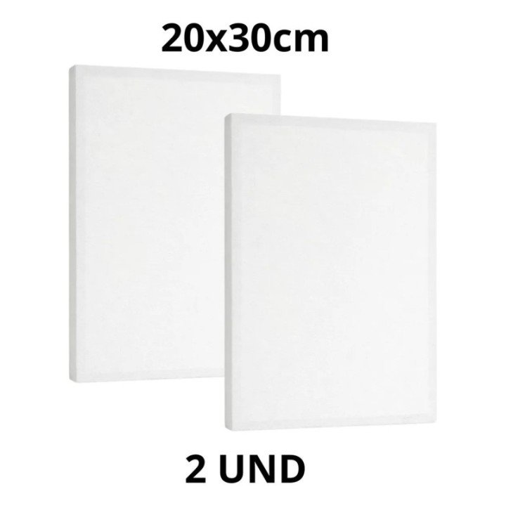 Kit 2 Tela Para Pintura 20x30cm Escolar E Artística