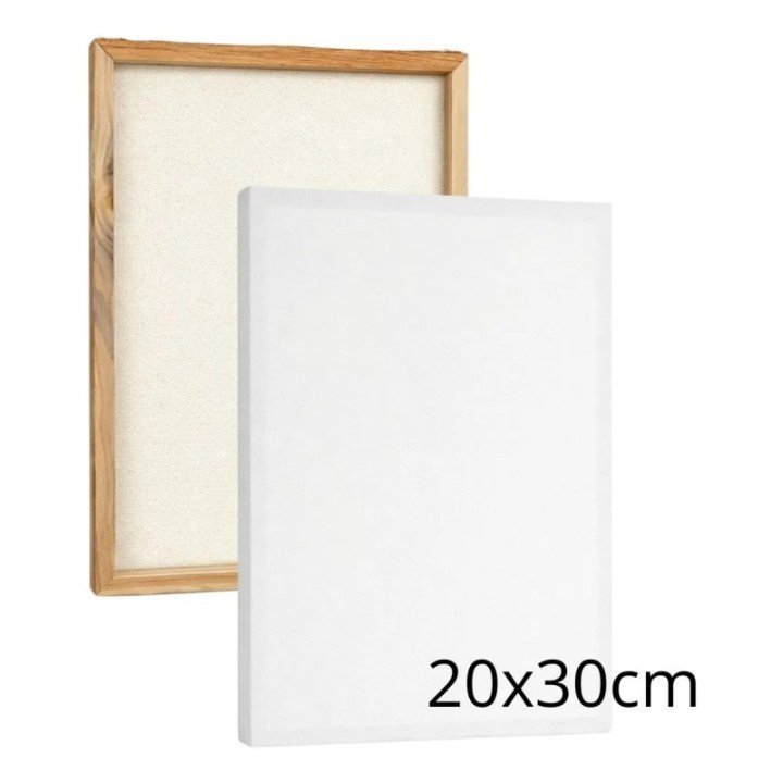 Kit 2 Tela Para Pintura 20x30cm Escolar E Artística