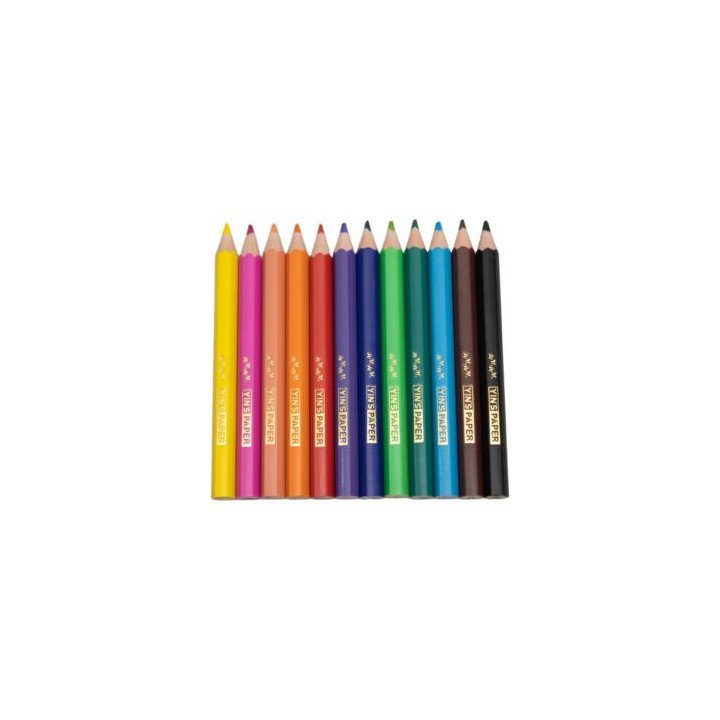 LÁPIS DE COR MINI RESINA SEXTAVADO 12 CORES